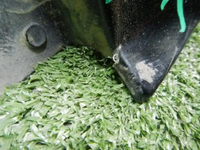 DSCN8515.JPG