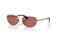 Versace 2307
