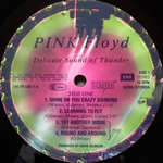 Pink Floyd - Delicate Sound Of Thunder 2LP (Европа 1988г.)