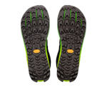 Кроссовки мужские ALTRA LONE PEAK 9+