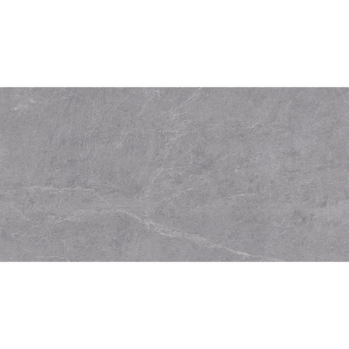 ALPINE GRIS 60x120 MATT