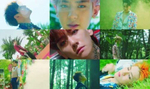 Альбом EXO - The War 4th Album CHINESE RANDOM Version
