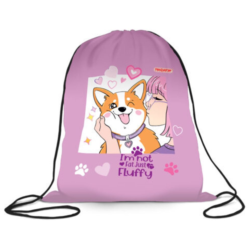 Мешок для обуви ПИФАГОР, 1 отделение, 40х32 см, Fluffy akita, 272385