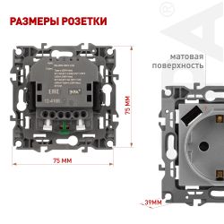 Розетка ЭРА Серия 12 12-4108-03 2P+E 16A-250В со шторками с USB type-A+C 5В-3А алюминий | Эра 12