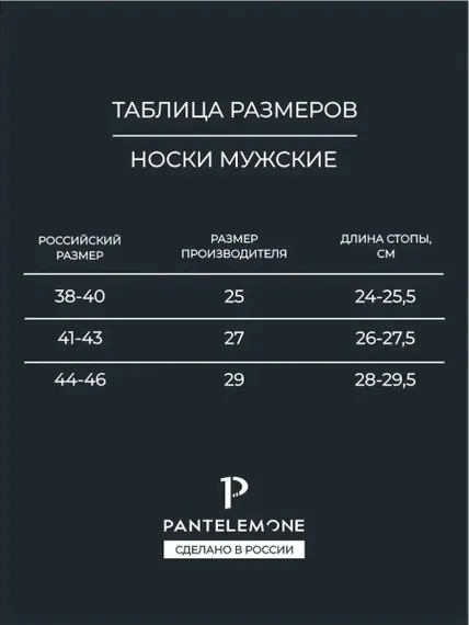 Носки мужские Pantelemone PN-100 (10 пар),синие