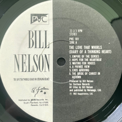 Виниловая пластинка Bill Nelson – The Love That Whirls (2LP)