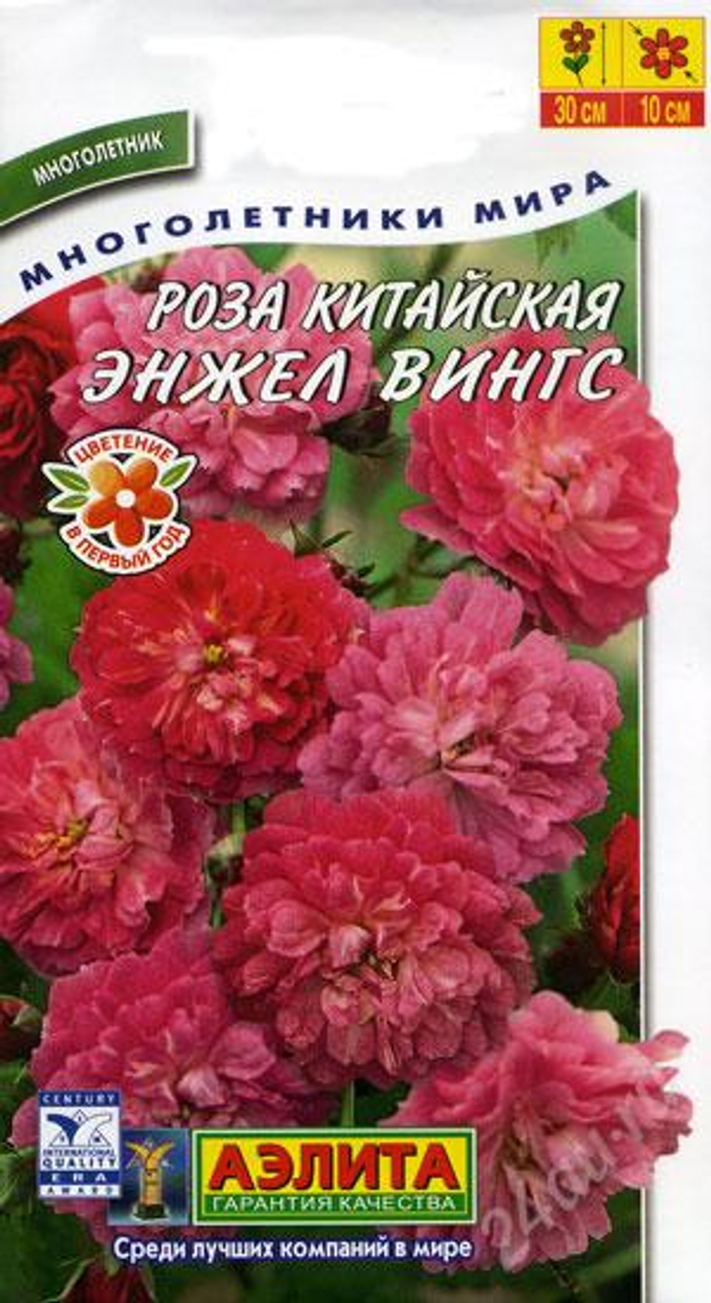 Роза Энжел Вингс китайская 10шт Аэлита