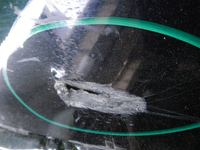 DSCN3270.JPG