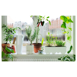 IKEA BITTERGURKA  (ИКЕА БИТТЕРГУРКА)  -  Лейка - белый 2 л