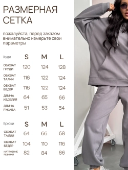 Спортивный костюм весенний без начеса с худи