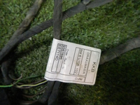 DSCN9400.jpg