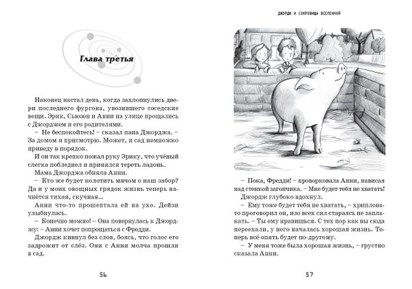 Джордж и сокровища Вселенной. Книга 2. Экземпляры с дефектами (!)