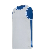 Майка двухсторонняя JÖGEL DIVISION PerFormDRY Double-Side Jersey, синий/белый