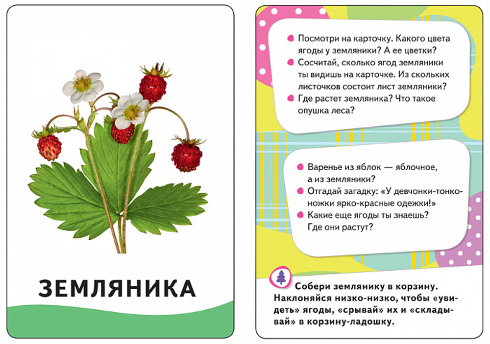 В лесу (Разв. карточки 0+)/Росмэн/КН. №4 4680010499801
