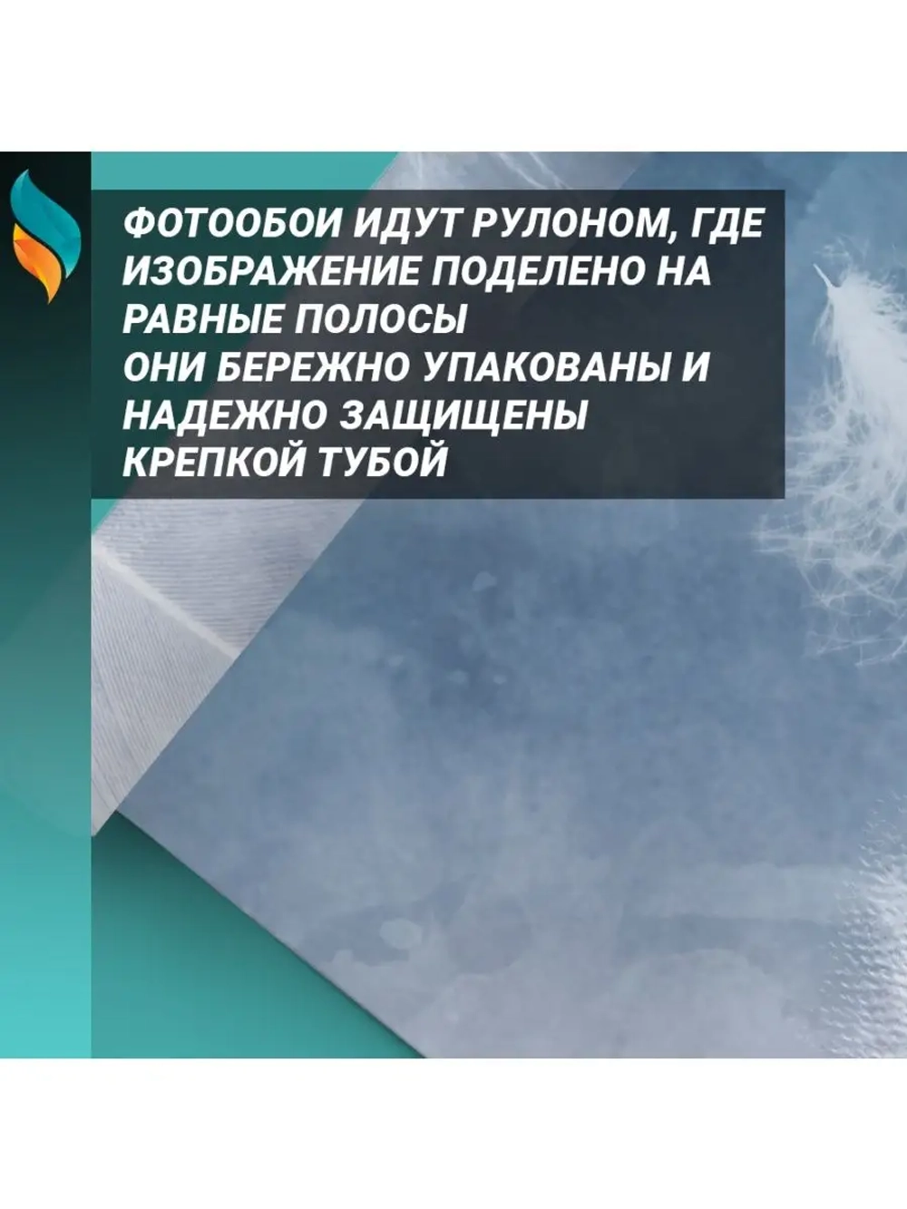 Фотообои на стену Воздушные перья 300х270см