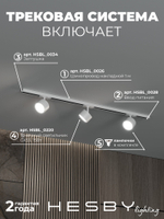 Комплект трековый Hesby Lighting Skylite No13 HSBL_kompl_S013_NI1W4K