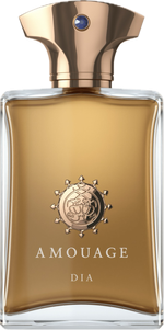 Amouage Dia Man Eau De Parfum 100 ml (man)