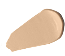 Dolce&Gabbana Fresh Rose Glow Cushion - Роскошный увлажняющий тональный крем с SPF 50+ оттенок 4N, 15 g