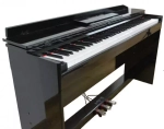 Pierre Cesar XY-8813-H