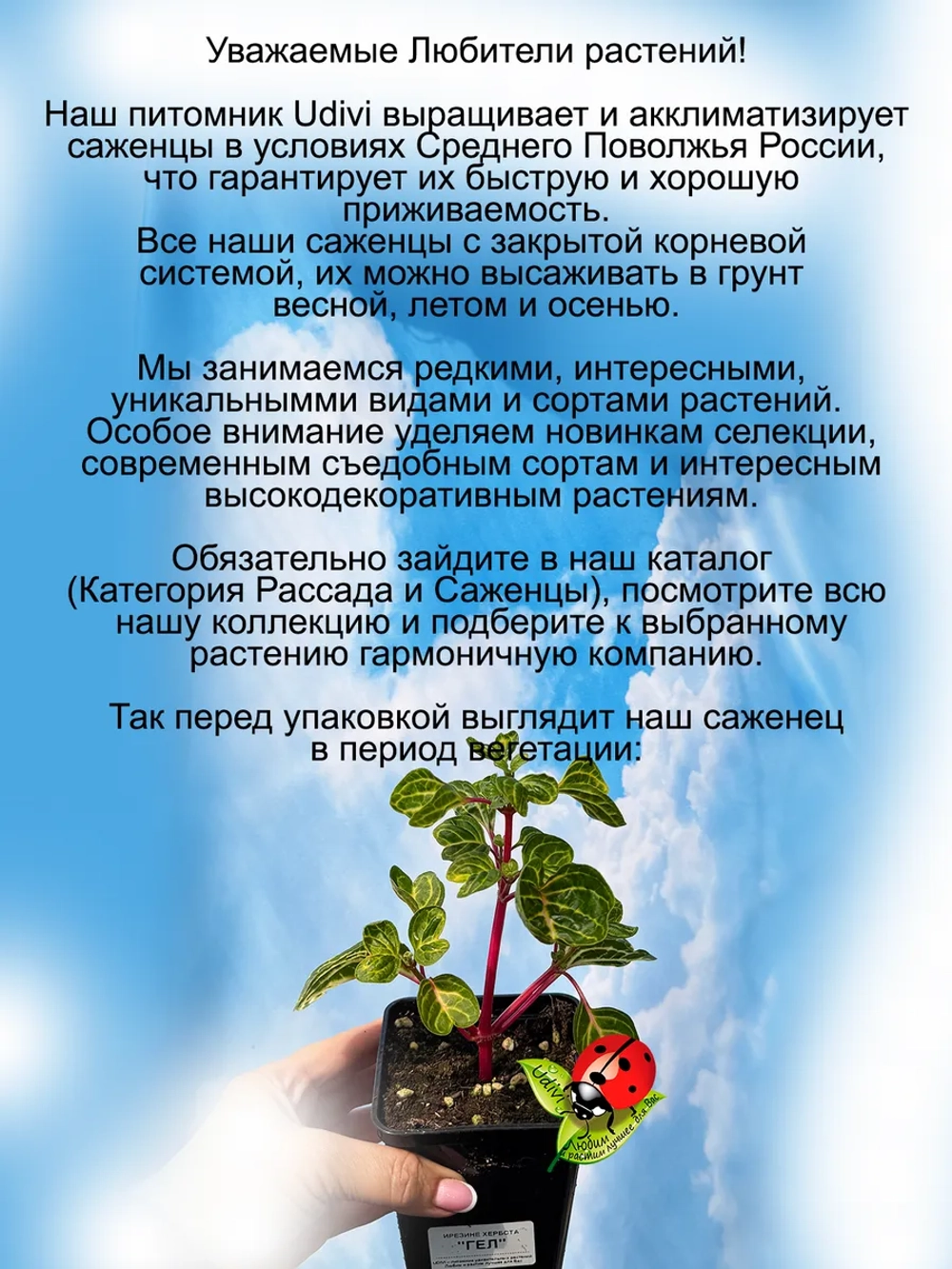 Ирезине Хербста Гел