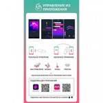 Виброяйцо Magic Motion Fugu, зеленый