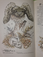 книга "Сказка про храброго зайца"
