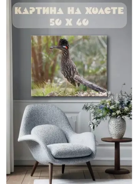 Картина на стену 40 X 50 Кукушка калифорнийская