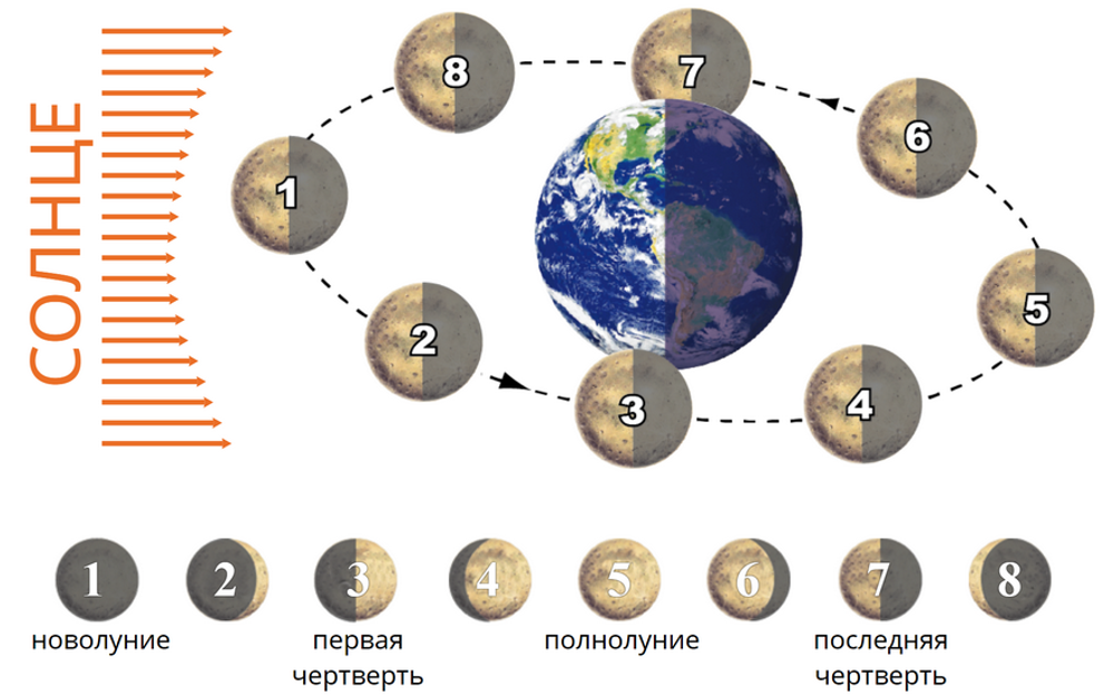 Интерактивное учебное пособие "Наглядная география. 5 – 6 классы"