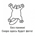 Дверь-купе NAIDY С -crimp, зеркало, профиль вишня