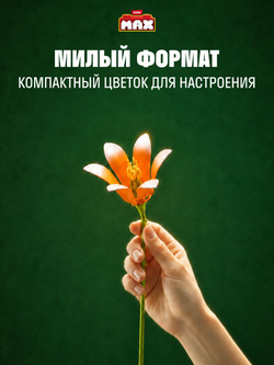Фигурка MAX Build - Flowers Цветы