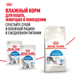 Royal Canin Indoor Индор Корм сухой сбалансированный для взрослых кошек в возрасте от 1 года до 7 лет живущих в помещении 4кг