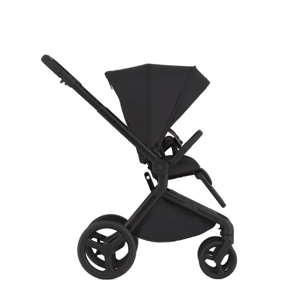 Коляска ANEX Flo 2 в 1 Lungo + Рюкзак-переноска Whiz-Hug