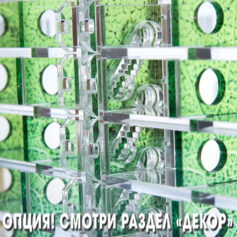Crystal XL 3.0 + колония Camponotus nicobarensis