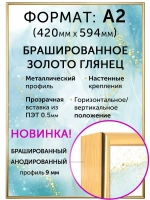 Металлическая рамка А2 (420х594 мм)