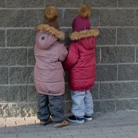 Аляска зимняя удлиненная "Кофе"