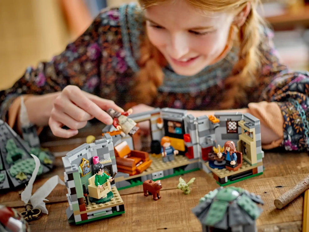 Конструктор LEGO Harry Potter 76428 Хижина Хагрида: неожиданный визит