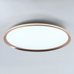 Потолочный светодиодный cветильник LED4U L3020-600 GD