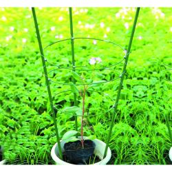 Поддержка для цветов GREEN APPLE GFS-3-45 3 кольца 45 см | GREEN APPLE