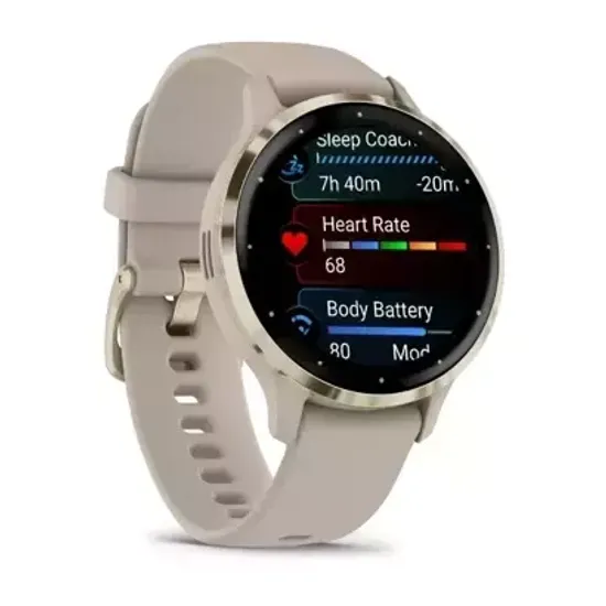 Смарт-часы Garmin VENU 3S French grey case and silicone band 010-02785-02