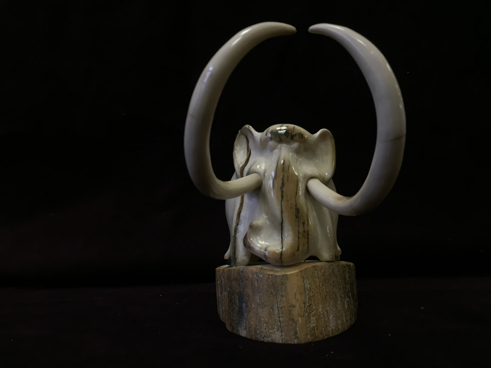 Шкатулка "Мамонт", из кости