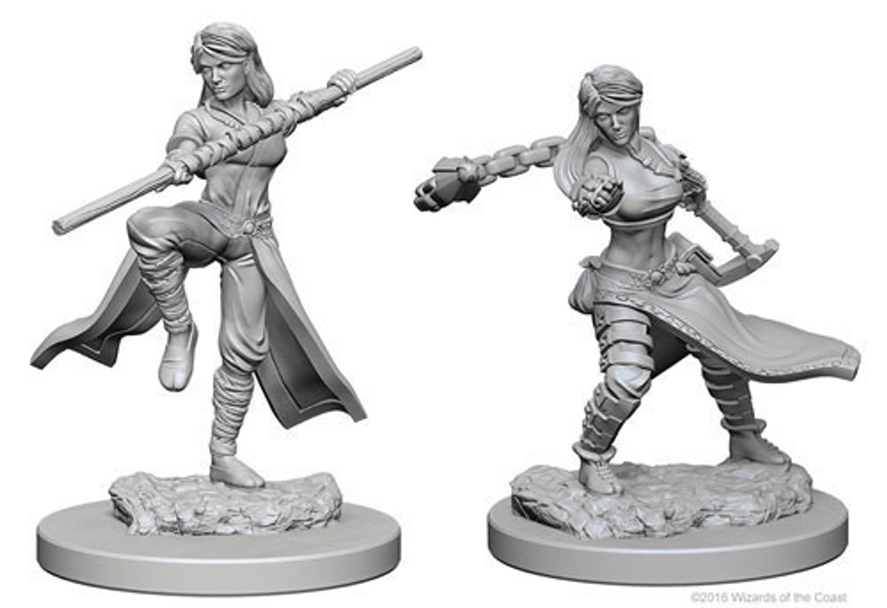D&D Nolzur's Marvelous Unpainted Miniatures - Human Female Monk