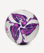 Мяч футбольный Triumph Elite WSL №5