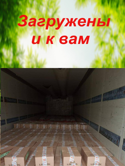 Соль для животных Лизунец антигельминтный Лимисол Ф