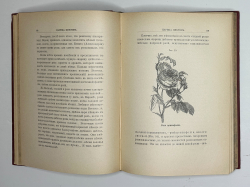 Кайгородов. Д. Из зелёного царства.Популярные очерки из мира растений. СПб., 1912