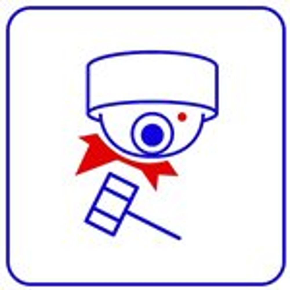 TRASSIR Sabotage Detector