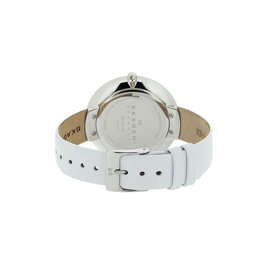Наручные часы Skagen SKW2136