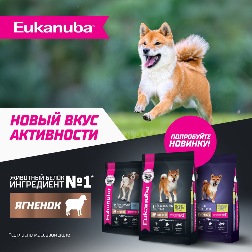 Сухой корм Eukanuba для взрослых собак крупных и очень крупных пород старше 1 года с ягненком 3 кг