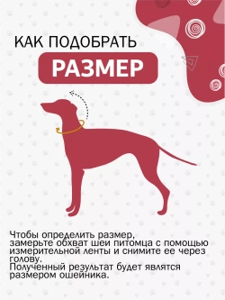 Ошейник для адресника
