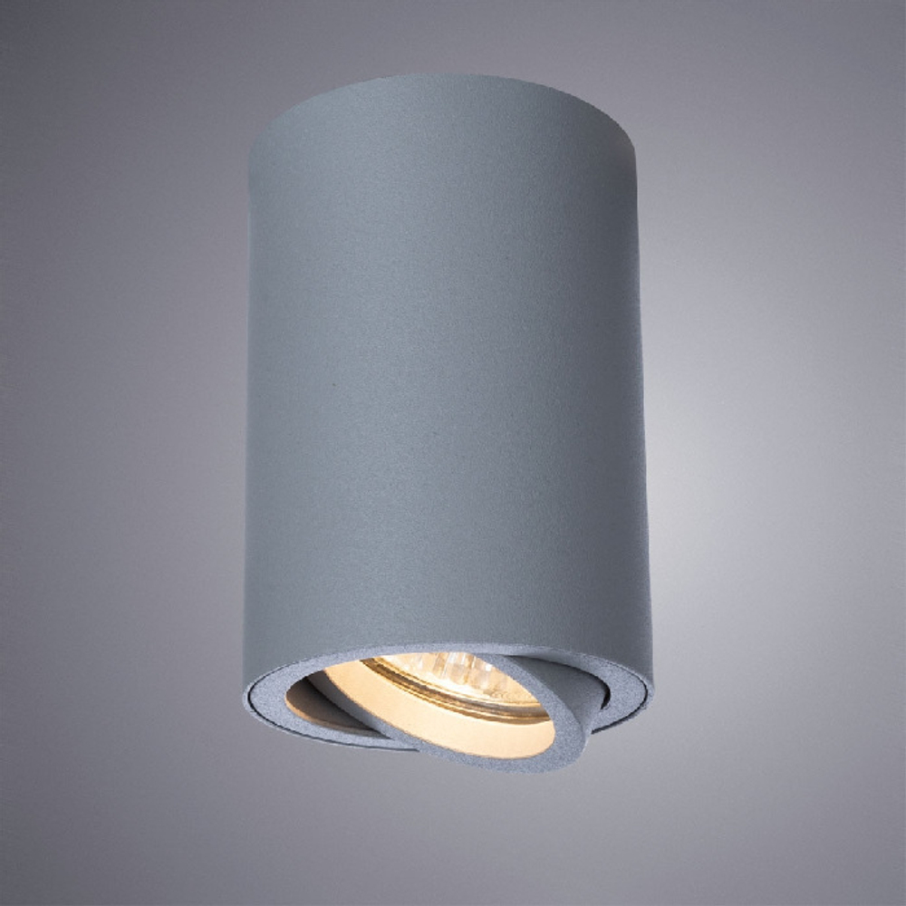Накладной светильник Arte Lamp SENTRY A1560PL-1GY