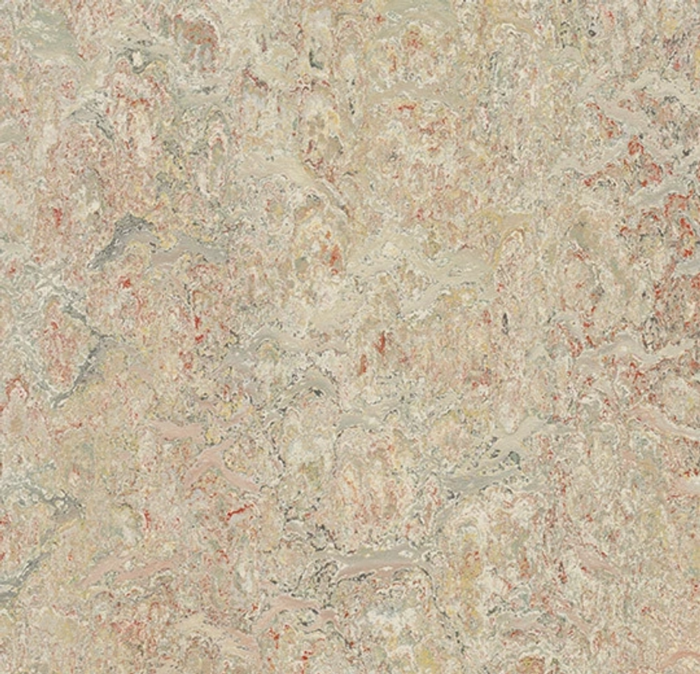 marmoleum vivace